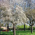 Hotel Kasteelhotel Terborgh, Bw Signature Collection Schinnen