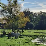 Hotel Kasteelhotel Terborgh, Bw Signature Collection Schinnen