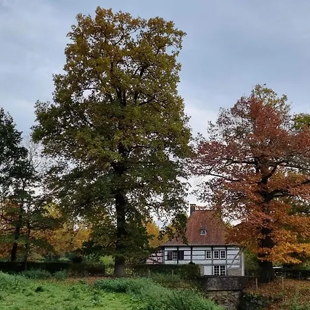Landgoed Kasteel Terborgh * Schinnen