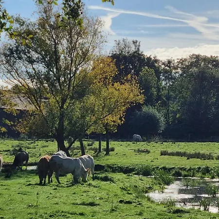 Apartman Kasteelhotel Terborgh, BW Signature Collection Schinnen