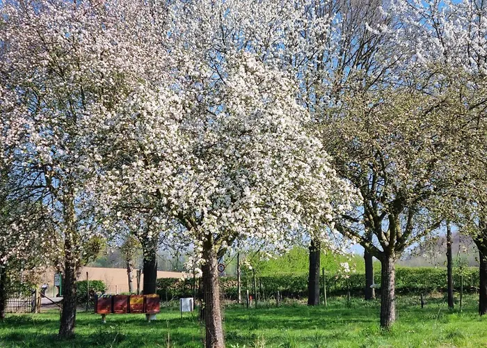 아파트 Kasteelhotel Terborgh, Bw Signature Collection Schinnen