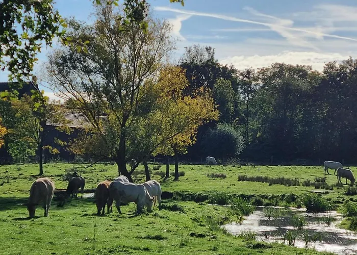 Апартаменты Kasteelhotel Terborgh, Bw Signature Collection Schinnen