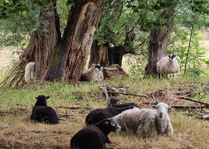 아파트 Kasteelhotel Terborgh, Bw Signature Collection Schinnen