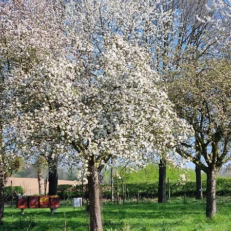 Apartmán Kasteelhotel Terborgh, BW Signature Collection Schinnen