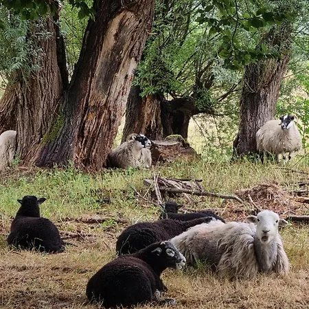 Apartmán Kasteelhotel Terborgh, BW Signature Collection Schinnen